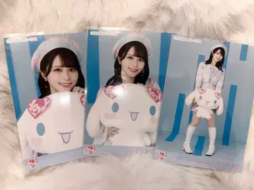 이코럽 사사키 마이카 시나모롤 콜라보 2025 시나몬 컴프