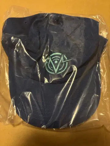 해즈빈 호텔 복스테크 캡 vox voxtec