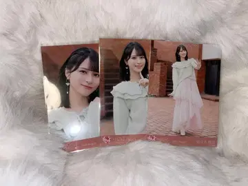 이코러브 초특급 도주중1 사사키 마이카 컴프 브로마이드