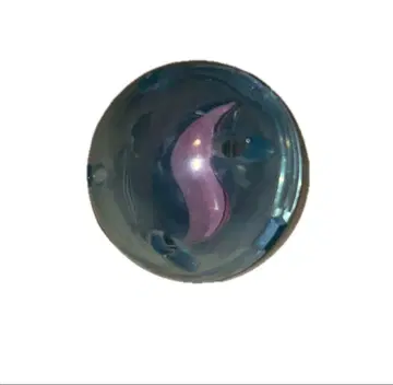 포켓몬 메가스톤 이상해꽃 이상해꽃나이트 이상해씨 메가진화