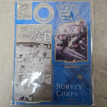 진격의 거인 자이언트 콘 당선 리바이 미카사 장 사샤 코니