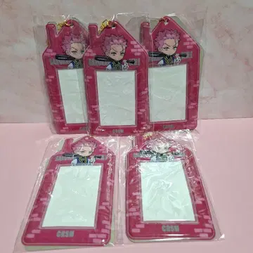 카리스마 사루카와 케이 포토 카드 홀더 5점
