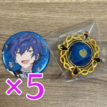 사자나미 쥰 앙스타 스타라이 10th set D 캔뱃지 5개