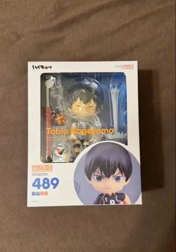 하이큐 카게야마 토비오 넨도로이드