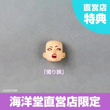 카이요도 리볼텍 어메이징 야마구치 줄리 특전만