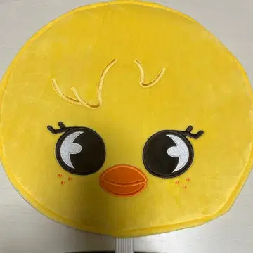 Stray kids Felix 부채 커버