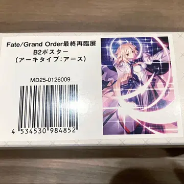 FGO 최종 재림전 B2 포스터 아키타입 어스 알퀘이드