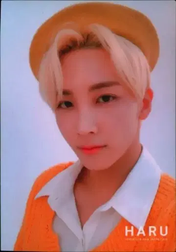 SEVENTEEN 2019 HARU 정한 트레이딩 카드 0064
