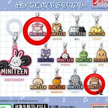 MINITEEN 통통 마크 액세서리 정한 디노