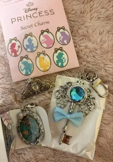 디즈니 스토어 클럽 프린세스 시크릿 참 신데렐라 3세트