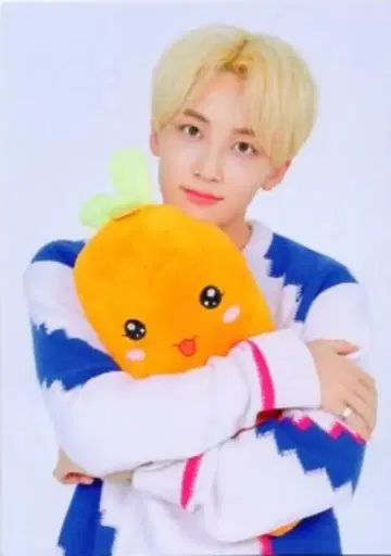 SEVENTEEN 2019 HARU 정한 트레이딩 카드 0103