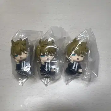 월드 트리거 어깨 쿵 이누카이 3개