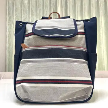 [택 포함 새상품, 레어 상품] ace 에이스 백팩 보더 무늬