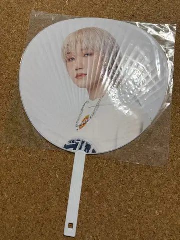 P1harmony 종섭 부채