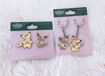 포켓파크 관동 피카츄 이브이 카세트