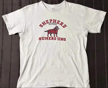 SHEPHERD4064 웨어하우스 T셔츠 2ND-HANDT 색스