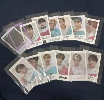 SEVENTEEN 2020 CARAT LAND POLORIDE 호시 없음