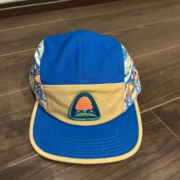 patagonia 그래픽 캡