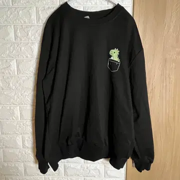 공룡 프린트 블랙 맨투맨 M