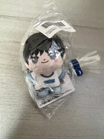 새상품 미개봉 TWS 봉제 인형 마스코트 호와누이 도훈