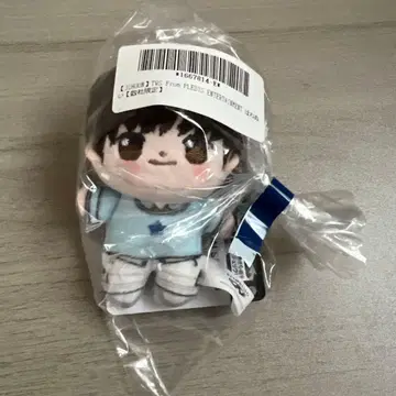 새상품 미개봉 TWS 봉제 인형 마스코트 호와누이 지훈