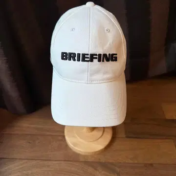BRIEFING 화이트 캡
