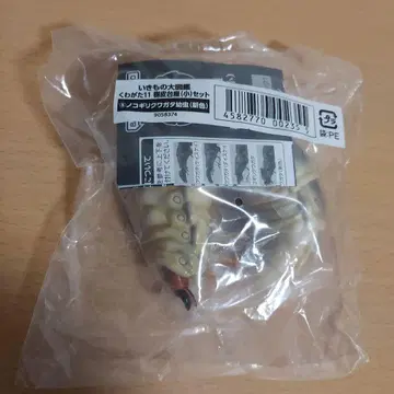 생물대도감 장수풍뎅이 11 노코기리쿠와가타 유충 신색 미개봉 새상품