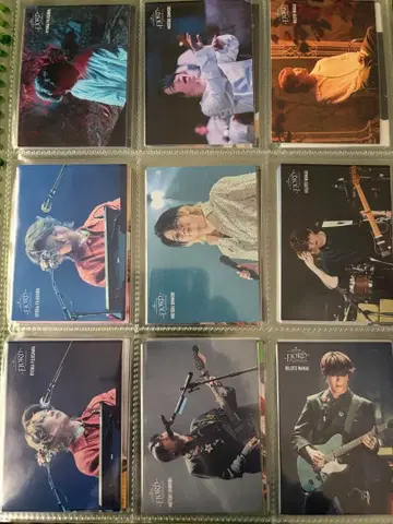 Mrs. GREEN APPLE FJORD 노멀 컴프