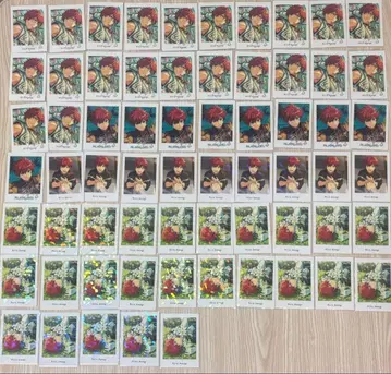 앙스타 파샤츠 파샤코레 누이 캔뱃지 묶음 판매