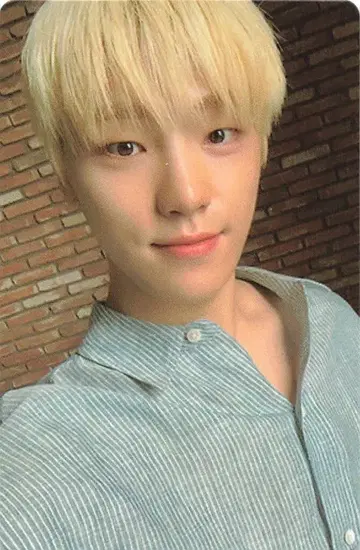 SEVENTEEN An Ode DINO 트레이딩 카드 파랑