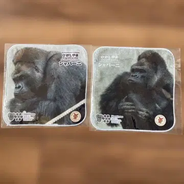 샤바니 잘생긴 고릴라 타월 손수건