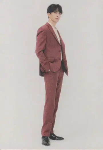 SEVENTEEN BE THE SUN JAPAN DK 트레이딩 카드 49