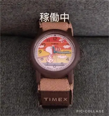 TIMEX x PEANUTS CAMPER SKI