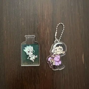 Dr.STONE 닥스톤 아사기리 겐 이시가미 센쿠