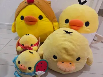 키이로이토리 5세트