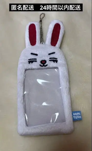 seventeen MINITEEN 트레이딩 카드 케이스 에스쿱스 체리