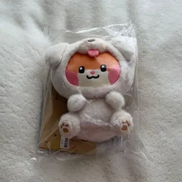 zeroni binini 비니니 봉제 인형