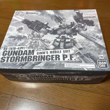 MG 1/100 건담 스톰브링거 P.F.
