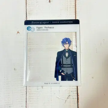 마호야쿠 퓨로랜드 피가로