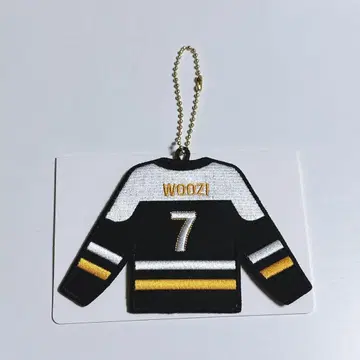 SEVENTEEN 2025 home Wappen 우지 와펜