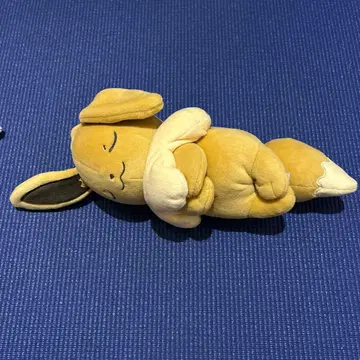 포켓몬 쌔근쌔근 프렌드 쌔근프레 봉제 인형 S 이브이