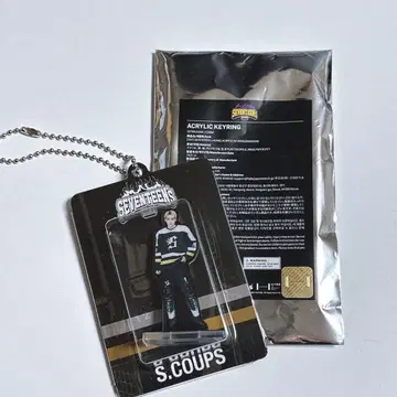 SEVENTEEN HOME 아크릴 키링 에스쿱스