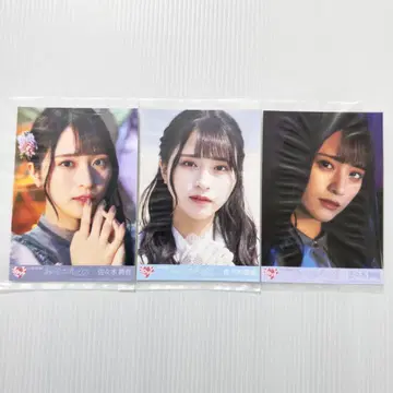 사사키 마이카 아노코 컴플렉스 봉입 컴프 A B C 이코러브 브로마이드