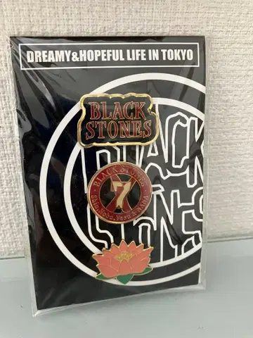 NANA 핀 배지 핀즈 야자와 아이 블라스트