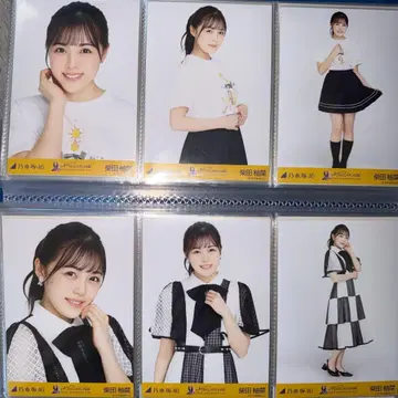 노기자카46 시바타 유나 9thBD 라이브 기별 의상 라이브T 컴프