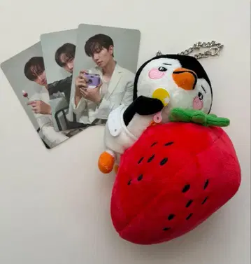 이준호 미드나잇 선 펭귄 백참