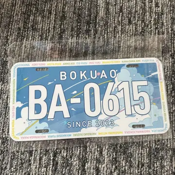 내가 보고 싶었던 푸른 하늘 보쿠아오 번호판