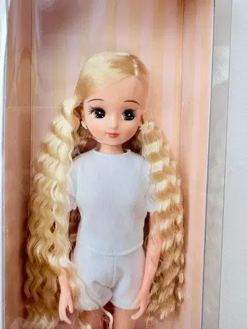 리카짱 캐슬 리카짱 2015 니혼바시 베이직 모델