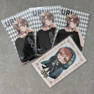 컬러풀 피치 우리 우리 씨 트레이딩 카드 원더랜드