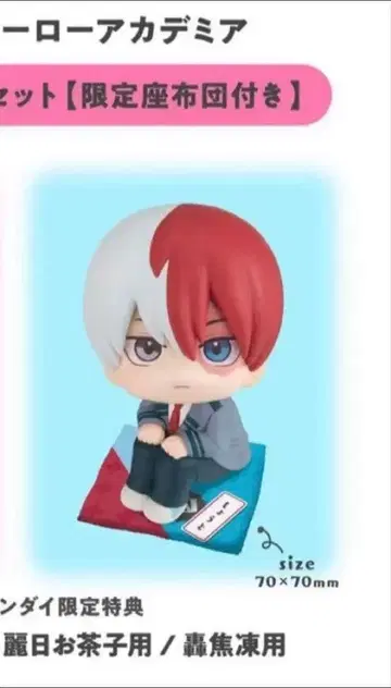 나의 히어로 아카데미아 토도로키 쇼토 룩업 방석 특전